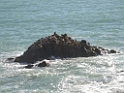 DSCN0926