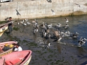 DSCN0936