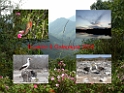 DSCN1954ab