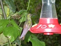DSCN2007