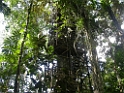 DSCN2103