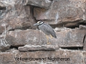 DSCN2197a