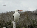 DSCN2209