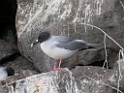 DSCN2259