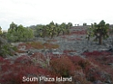 DSCN2356
