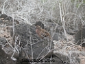 DSCN2375
