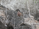 DSCN2376