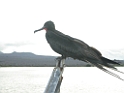 DSCN2517