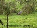 DSCN2529