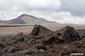 Bale Mountain.201019jan_3266