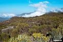 Bale Mountain.201020jan_3207