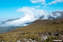 Bale Mountain.201020jan_3208