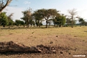 Bishangeri Lodge.201017jan_3380