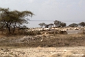 Bishangeri Lodge.201017jan_3398