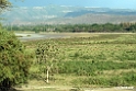 Bishangeri Lodge.201017jan_3408