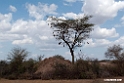 Dawa River .201022jan_3305