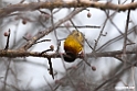Juba Weaver.201022jan_3910