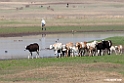 Sulultaa Plains.201010jan_1272