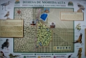 Moheda Alta.20140208_5153
