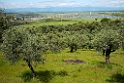 SolcelleanlægArrocampo.20140422_5567