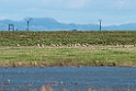 Stortrapper.20140210_5122