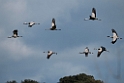 Traner.20140210_4960
