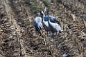 Traner.20140210_5062