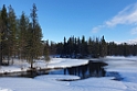 Landskab.202221mar_1265