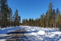 Landskab.202221mar_1267
