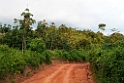Bekouopa road.201125nov_3279