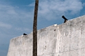 Elmina.201124nov_3306