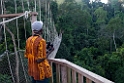 Kakum.201119nov_3360