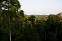 Kakum.201119nov_3361