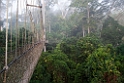 Kakum.201120nov_3347