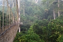 Kakum.201120nov_3348