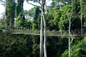 Kakum.201120nov_3350