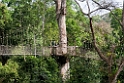 Kakum.201120nov_3352