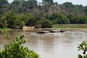 Mole Elefant.201128nov_3454