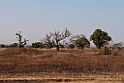Tono DAm.201101dec_3068