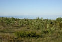 006DSCN3010