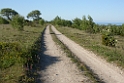 009DSCN3012