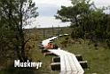 016DSCN2994