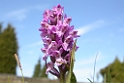 018DSCN2991
