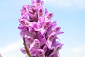019DSCN2988