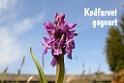 020DSCN2983