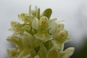024DSCN3553