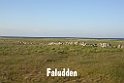 029DSCN2971
