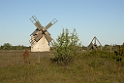 039DSCN3007