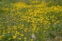 043DSCN2998