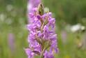 049DSCN3591